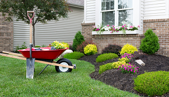 Lawn & Garden